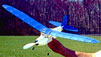 FF-31 Baby Hornet