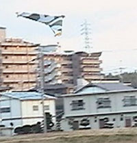 JX-09 EVG Flying Wing