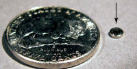 Rare Earth Magnet M06