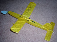 PD-01 Debut Embryo