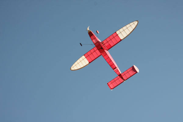 DPR Balsa Built Laser Cut Model Aircraft Hyper Cub FF & RC,Cessna 180 & Racer 